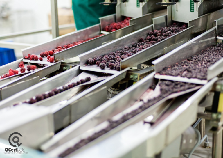 ISO 22000 certification process for food exporters in Egypt and Nigeria ensuring food safety and export compliance