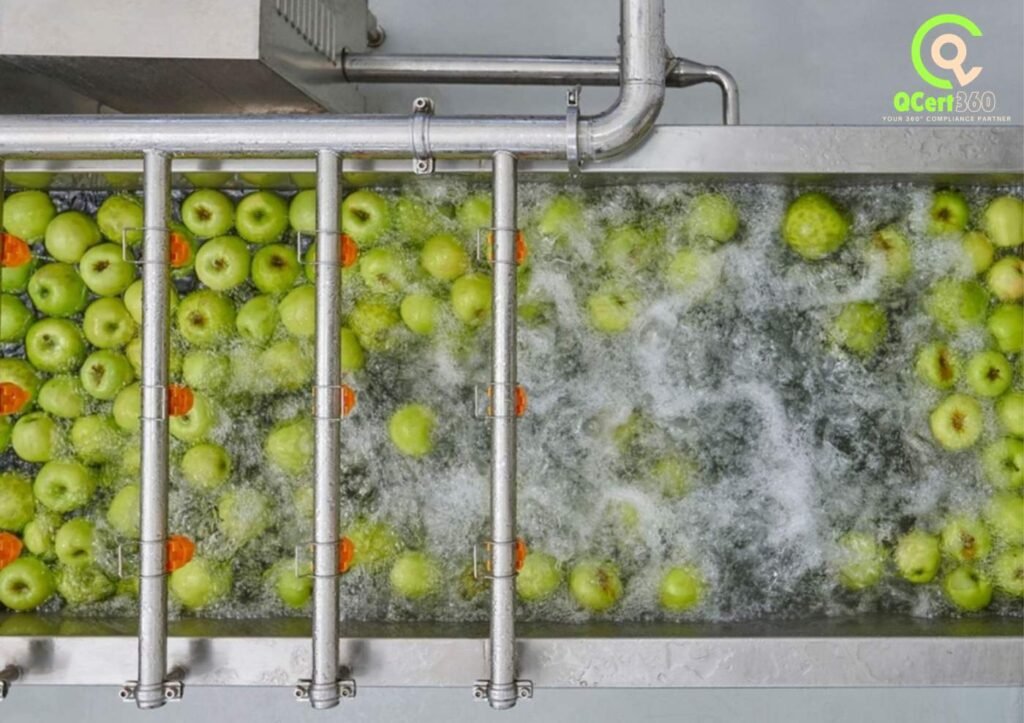 Industrial fruit washing process supporting ISO 9001 Certification for Food Processing Company through quality control and hygiene